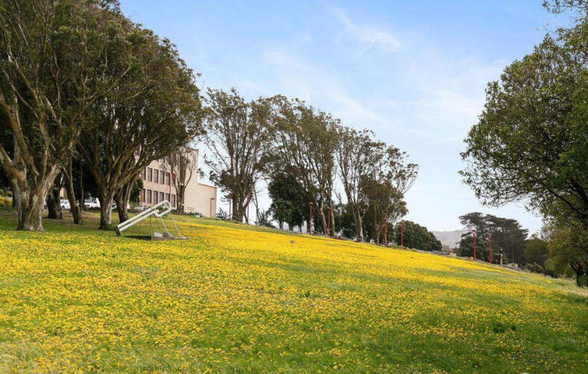 Neighborhood Neighborhood-1